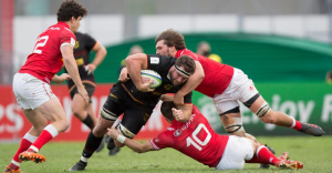 Apostas em Rugby