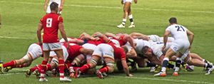 Apostas em Rugby