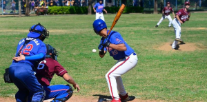 Tudo Sobre Beisebol